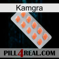 Kamgra 26